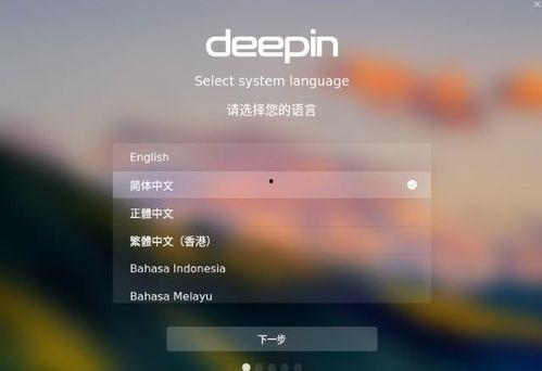 国产系统强制安装视频,推动自主创新的坚实步伐