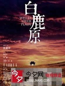 四月国产视频打包