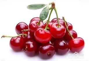 国产樱桃品种对比视频,风味与品质的全面对决