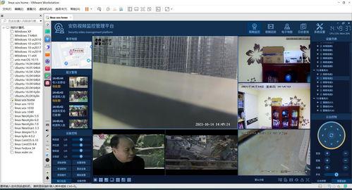 国产盗摄视频在线网址,在线网址背后的秘密与警示